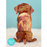 FreshCut Paper Golden Retriever Pop-Up 3D Greeting Card