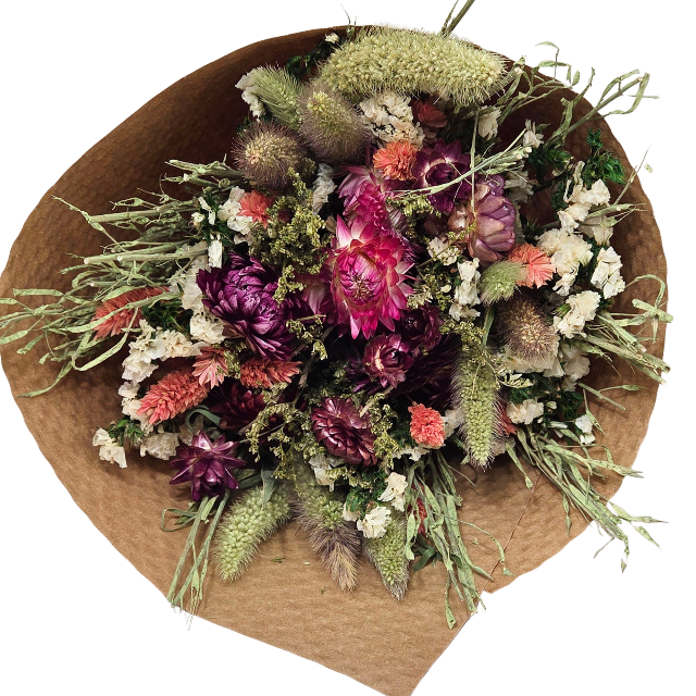 Pink Strawflower Love 24" Dried Floral Bouquet
