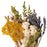 Yarrow & Lavender Mini Dried Floral Bouquet Bundle