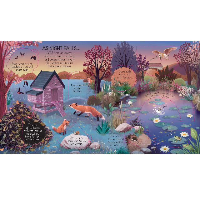Look Inside Animal Homes Book, Usborne