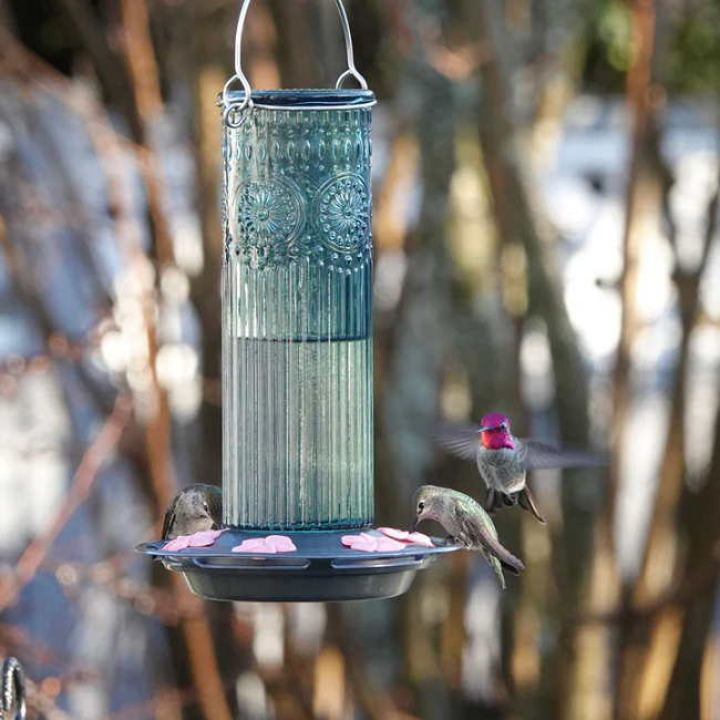 Nature's Way Antique Teal Glass Gravity Hummingbird Feeder