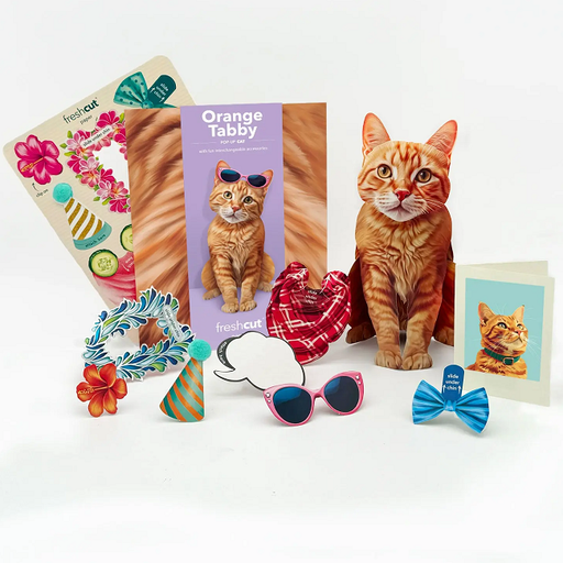 FreshCut Paper Orange Tabby Cat Pop-Up 3D Greeting Card