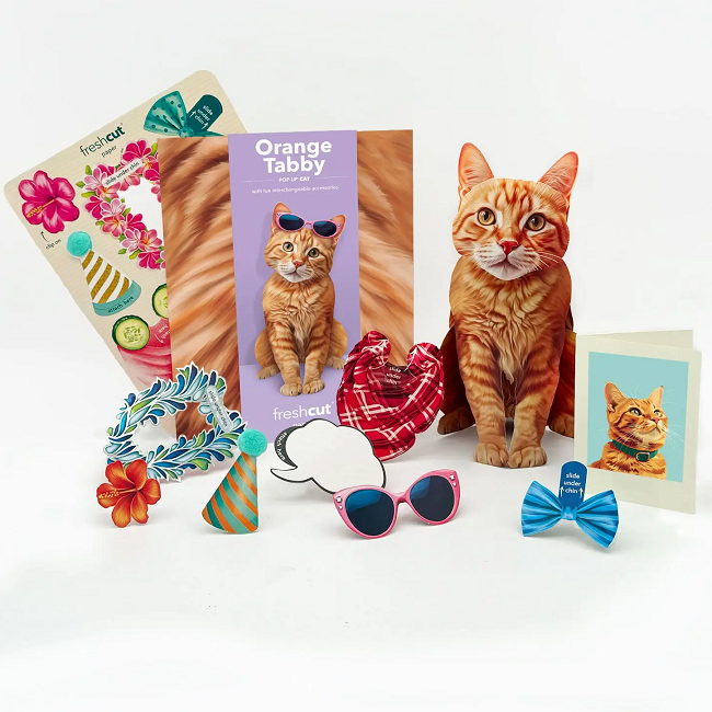 FreshCut Paper Orange Tabby Cat Pop-Up 3D Greeting Card
