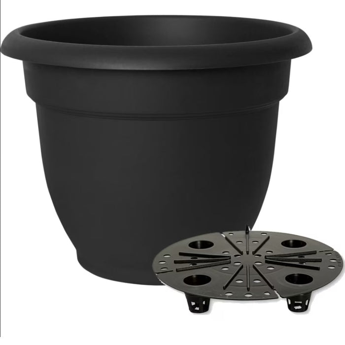 bloem ariana self watering planter 16 in - black Bloem Ariana Plastic Self Watering Planter, 16" Assorted Colors