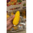 Crunchy Corn Cob ASMR Squishy