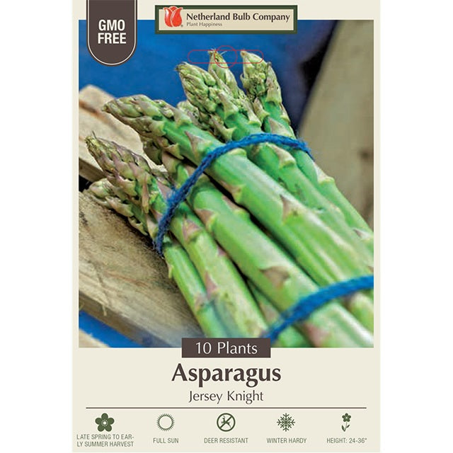Asparagus Roots 'Jersey Knight'- 10 per Bundle