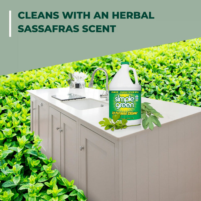 Simple Green Concentrated All Purpose Cleaner 1 gal