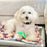 Baby Turtle with Squeaker 4" Dog Toy