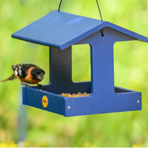 Backyard Nature Recycled Plastic Fly-Through Feeder, Blue