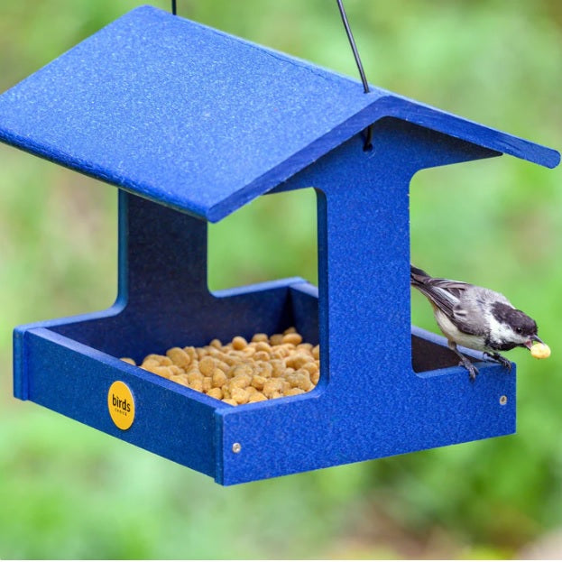 Backyard Nature Recycled Plastic Fly-Through Feeder, Blue