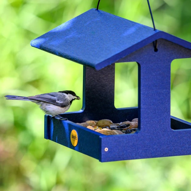 Backyard Nature Recycled Plastic Fly-Through Feeder, Blue