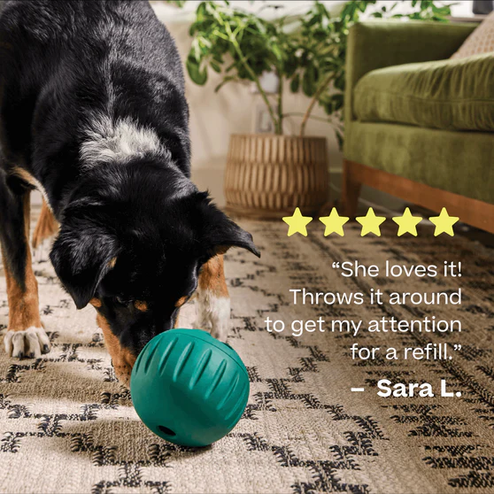 Woof Forager Walkabout Ball Dog Toy