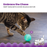 Catstages Ball Treat Stuffer Interactive Cat Toy Green