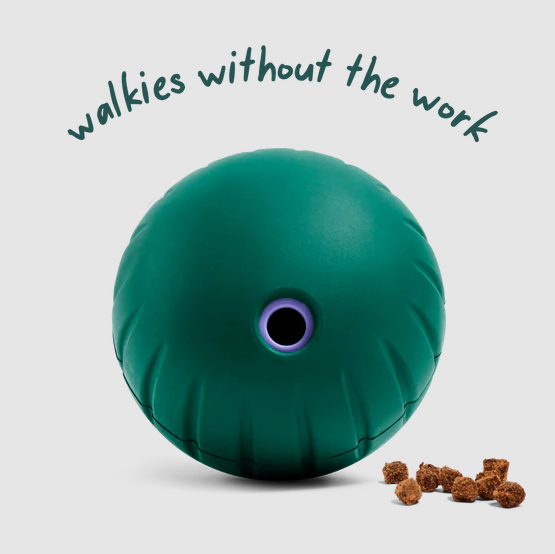 Woof Forager Walkabout Ball Dog Toy