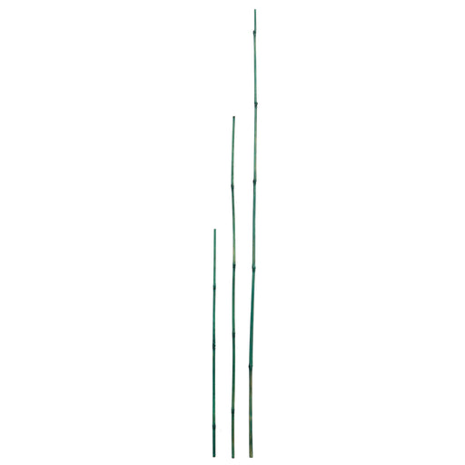 6 ft. Green Bamboo Stakes, 6-Pack