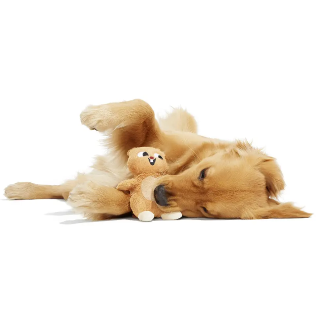 Bark Pearl Squirrel Plush Dog Toy