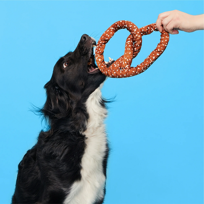 Bark Paula's Park Slope Pretzel Plush Dog Toy