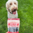Farm to Pet Beef Chips 4oz Single-Ingredient Dog Treats