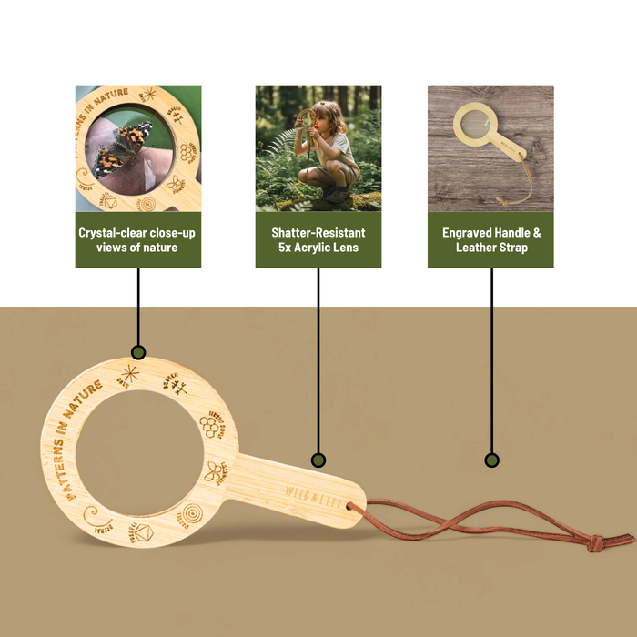 Eye Spy Eco-Bamboo 5x Magnifying Glass