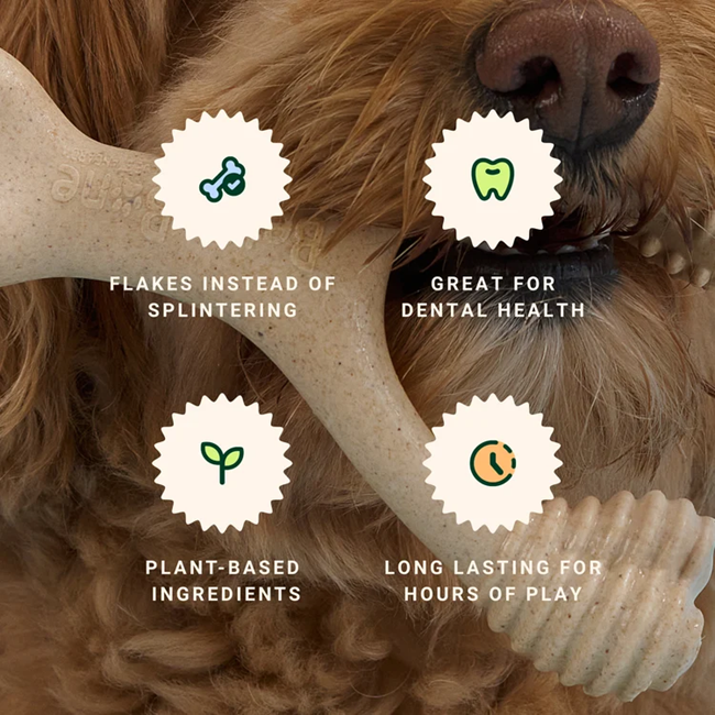 BetterBone Large Chew Toy, Beef Flavor