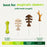 Benebone Green Fishbone Salmon Dog Chew Large