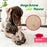 Benebone Green Wishbone Bacon Dog Chew Small