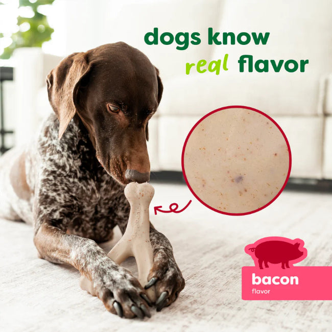 Benebone Green Wishbone Bacon Dog Chew Small