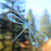Window Gems Dragonflies 9 Piece Prismatic Window Decals