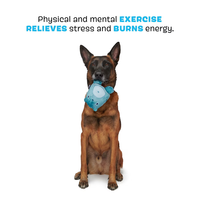 Bark Super Chewer Grey Bear Hugger Dog Toy Large