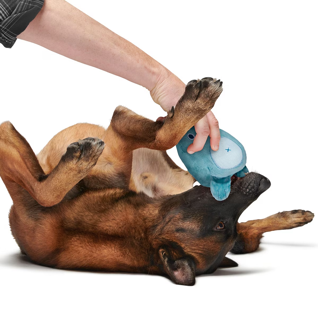 Bark Super Chewer Grey Bear Hugger Dog Toy Large