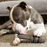Bark Super Chewer Buck Wild P.B. Beaver Dog Toy