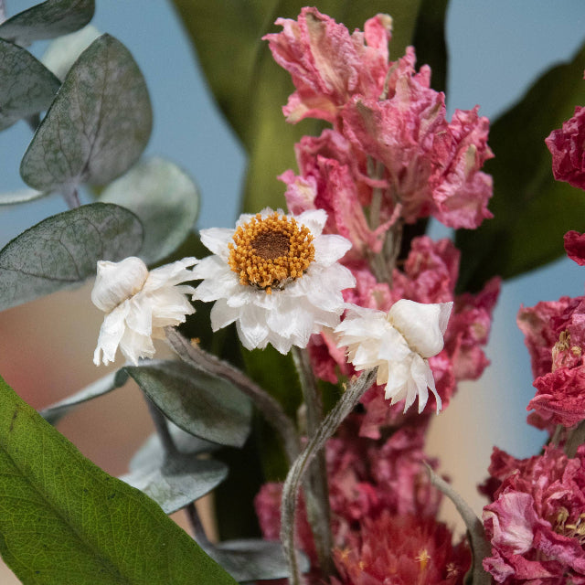 Eucalyptus & Pink Larkspur Mini Dried Floral Bouquet