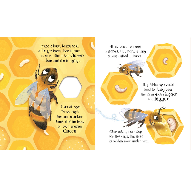 One Little Bee Children's Book | Usborne