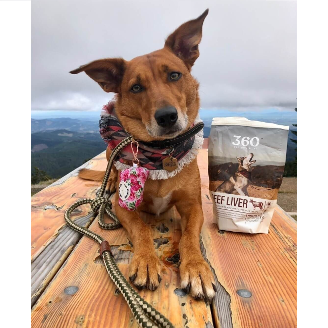 360 Pet Nutrition Freeze Dried Raw Beef Liver Dog Treats 4oz