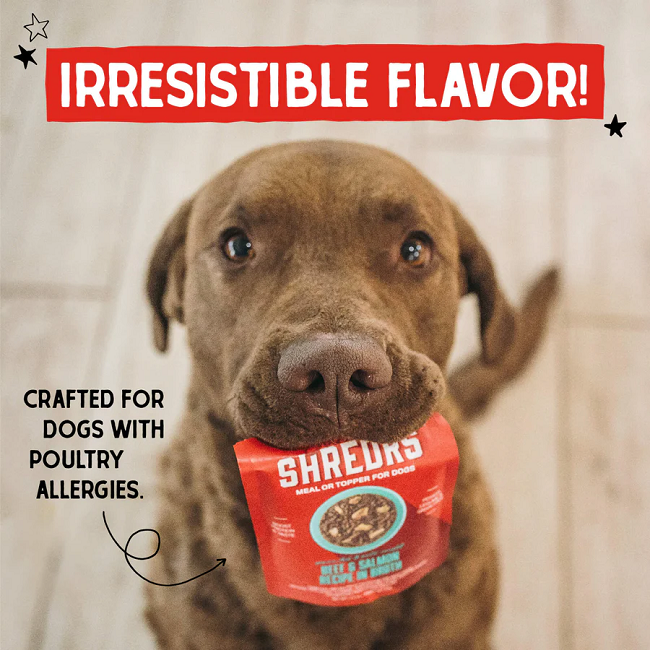 Stella & Chewy's Stella's Shredrs Beef & Salmon Recipe in Broth 2.8oz