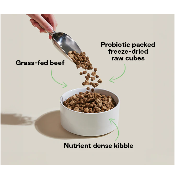 Open Farm GoodGut Grass-Fed Beef Recipe Dry Dog Food