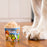Ben & Jerry's Doggie Desserts Rosie's Batch Pumpkin & Mini Cookies Frozen Dog Treats, 4 fl. oz., Pack of 4