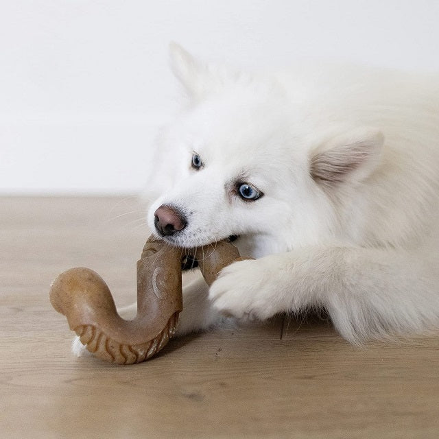 Benebone Tripe Bone Durable Dog Chew, Medium