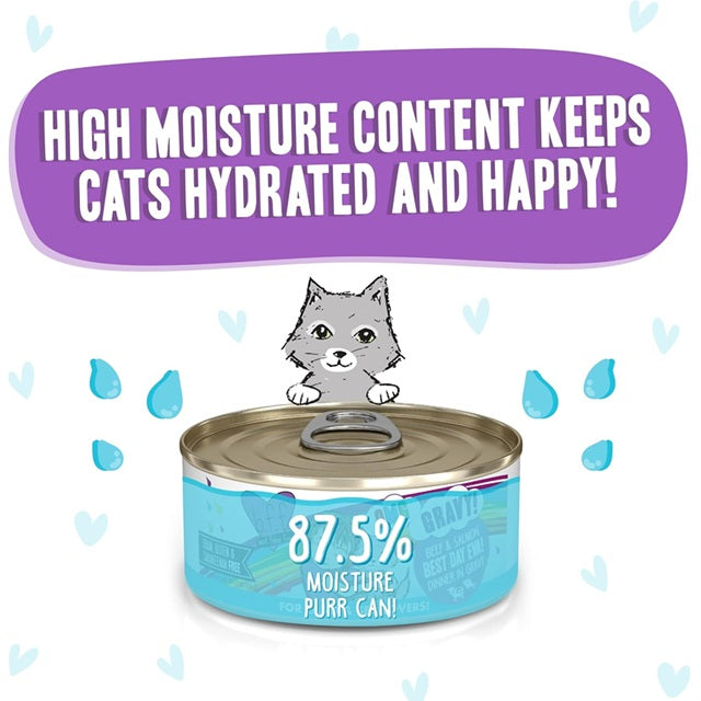 BFF OMG Best Day Eva! Beef & Salmon Dinner in Gravy Grain-Free Cat Food, 5.5-oz Can