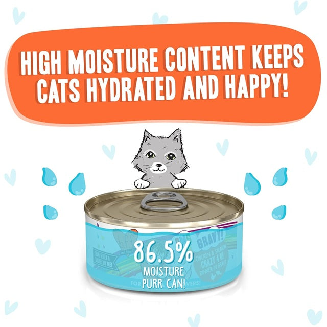 BFF OMG Crazy 4 U! Chicken & Salmon Dinner in Gravy Grain-Free Cat Food, 5.5-oz Can