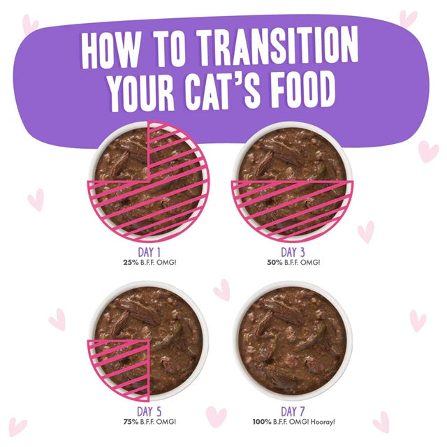 BFF OMG Baby Cakes Tuna & Beef Dinner in Gravy Cat Food, 3-oz Pouch