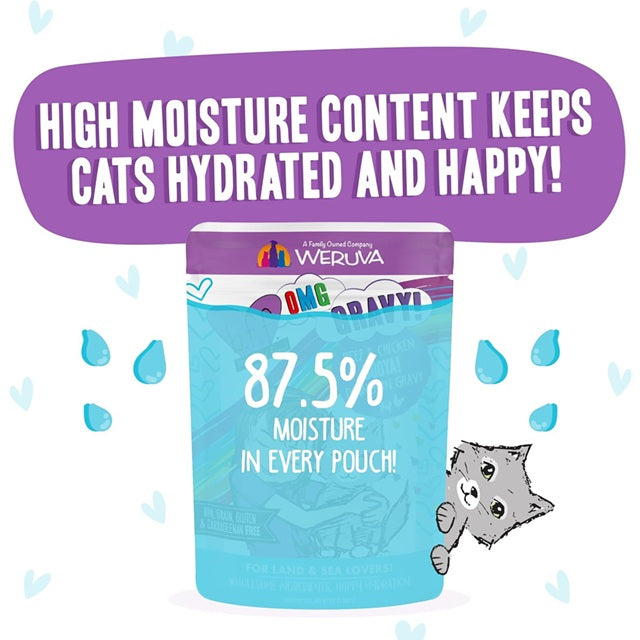 BFF OMG Booya Beef & Chicken Dinner in Gravy Cat Food, 2.8-oz Pouch