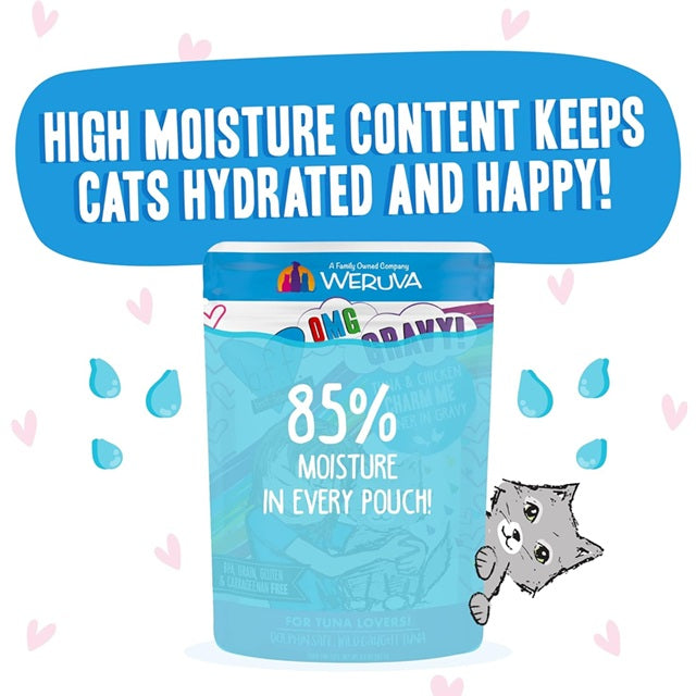 BFF OMG Charm Me Tuna & Chicken Dinner in Gravy Cat Food, 3-oz Pouch