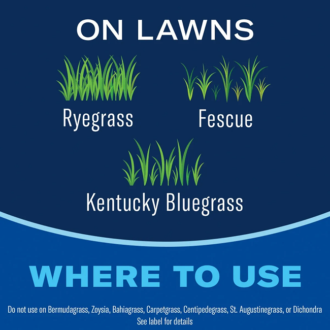 BioAdvanced All-In-One Lawn Weed & Crabgrass Killer, 32 oz Concentrate