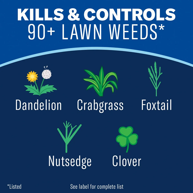 BioAdvanced All-In-One Lawn Weed & Crabgrass Killer, 32 oz Concentrate