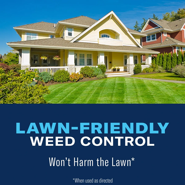BioAdvanced All-In-One Lawn Weed & Crabgrass Killer, 32 oz Concentrate