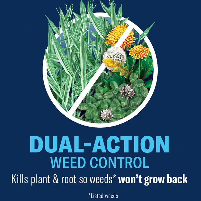 BioAdvanced All-In-One Lawn Weed & Crabgrass Killer, 32 oz Concentrate