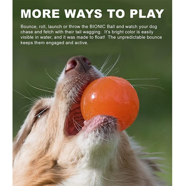 BIONIC Ball Dog Toy