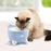 Catit PIXI Fountain Light Blue