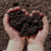 Black Earth Compost 1 Cu. Ft.